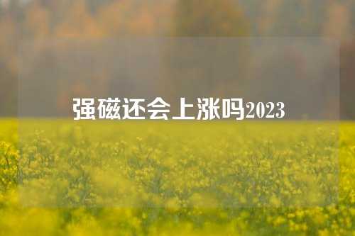 強(qiáng)磁還會(huì)上漲嗎2023