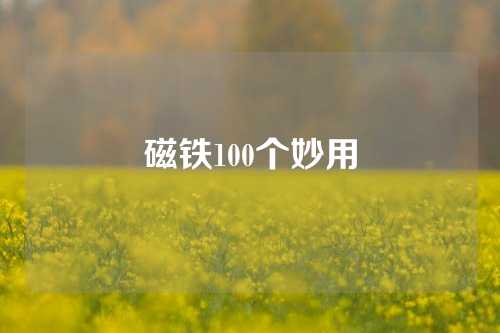 磁鐵100個(gè)妙用