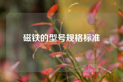 磁鐵的型號(hào)規(guī)格標(biāo)準(zhǔn)