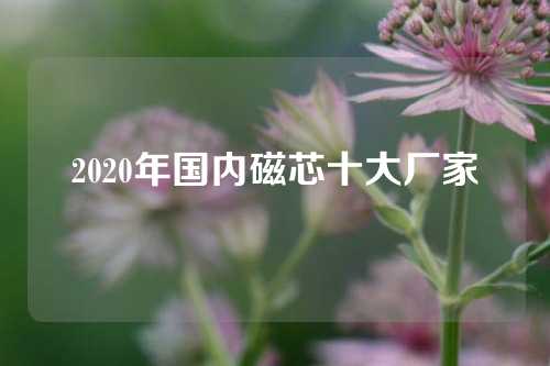 2020年國內磁芯十大廠家