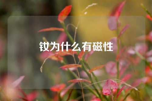 釹為什么有磁性