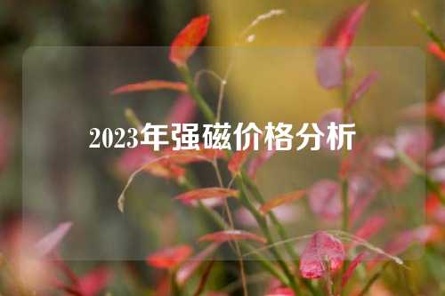 2023年強磁價格分析