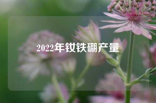 2022年釹鐵硼產量