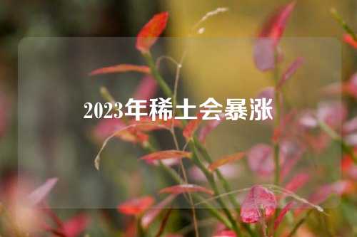 2023年稀土會暴漲