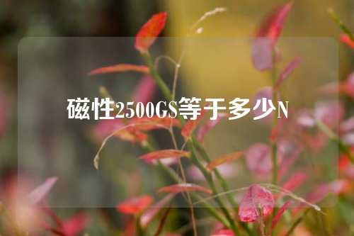 磁性2500GS等于多少N