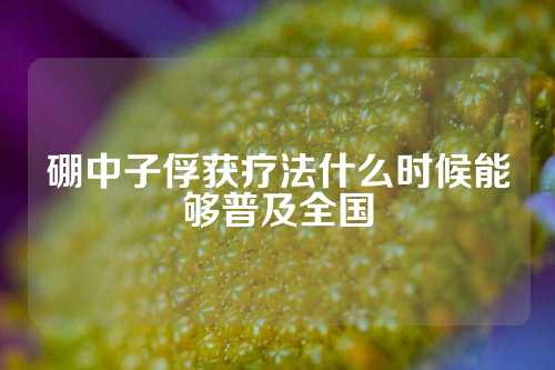 硼中子俘獲療法什么時(shí)候能夠普及全國