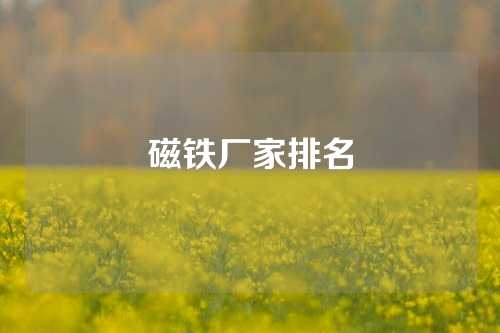 磁鐵廠家排名