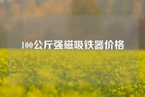 100公斤強磁吸鐵器價格