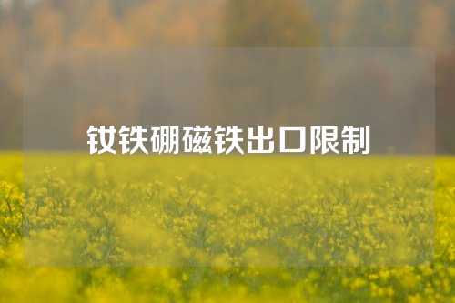 釹鐵硼磁鐵出口限制