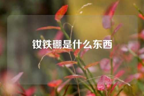 釹鐵硼是什么東西