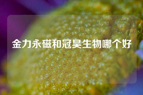 金力永磁和冠昊生物哪個好