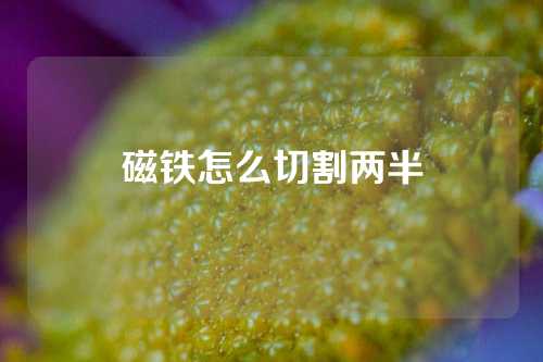 磁鐵怎么切割兩半