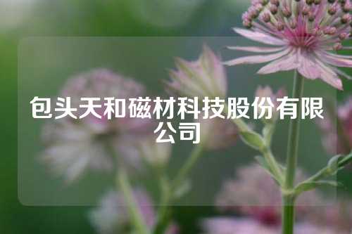 包頭天和磁材科技股份有限公司