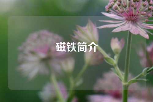 磁鐵簡(jiǎn)介