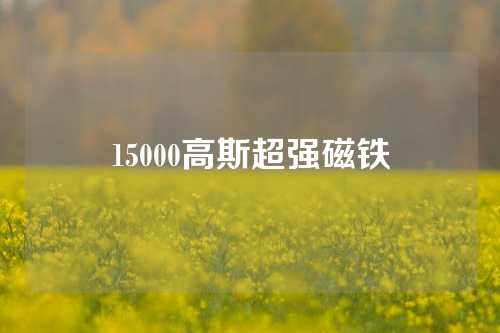 15000高斯超強磁鐵