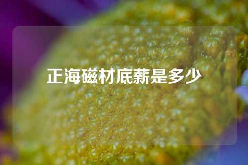 正海磁材底薪是多少