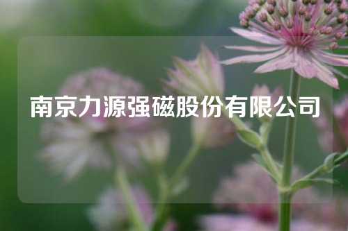 南京力源強磁股份有限公司