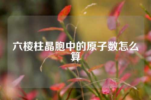 六棱柱晶胞中的原子數怎么算