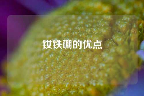 釹鐵硼的優(yōu)點