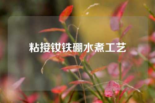 粘接釹鐵硼水煮工藝