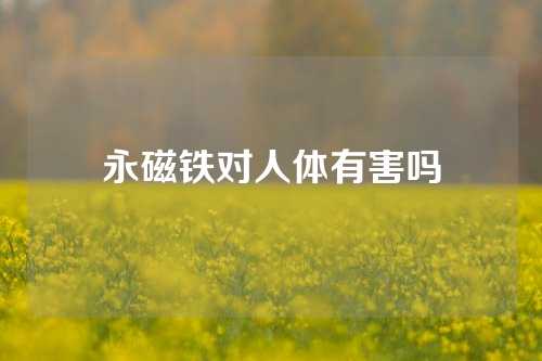 永磁鐵對人體有害嗎