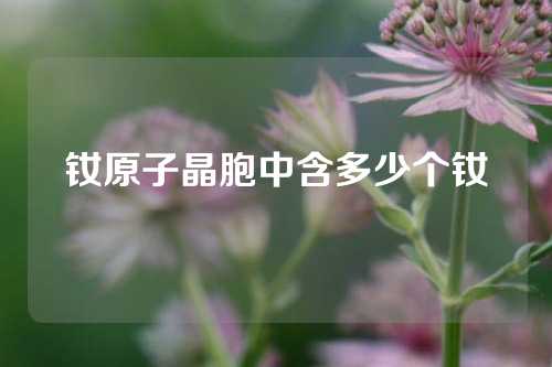 釹原子晶胞中含多少個釹