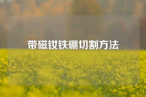 帶磁釹鐵硼切割方法