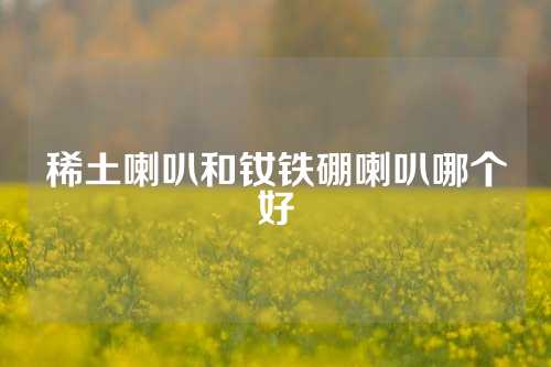 稀土喇叭和釹鐵硼喇叭哪個好