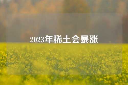 2023年稀土會暴漲