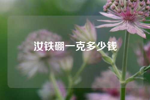 汝鐵硼一克多少錢