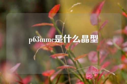 p63mmc是什么晶型