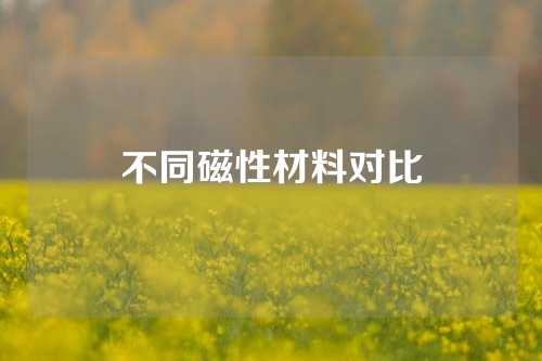 不同磁性材料對比