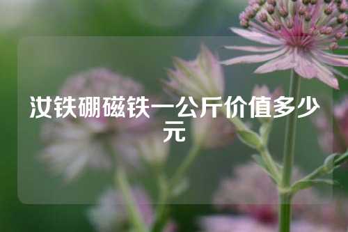 汝鐵硼磁鐵一公斤價值多少元