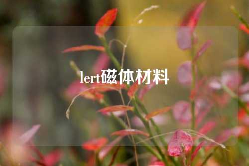 lert磁體材料