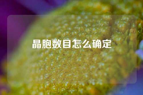 晶胞數目怎么確定