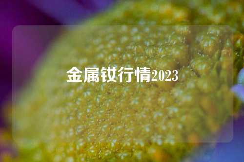 金屬釹行情2023