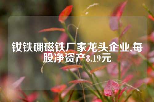 釹鐵硼磁鐵廠家龍頭企業,每股凈資產8.19元