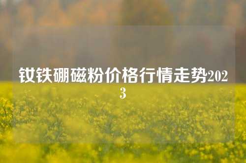 釹鐵硼磁粉價格行情走勢2023