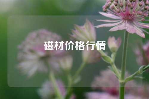 磁材價(jià)格行情