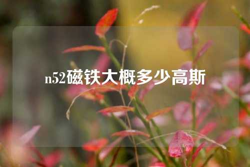 n52磁鐵大概多少高斯