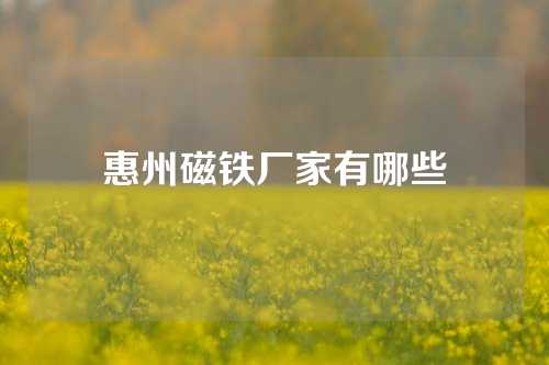 惠州磁鐵廠家有哪些