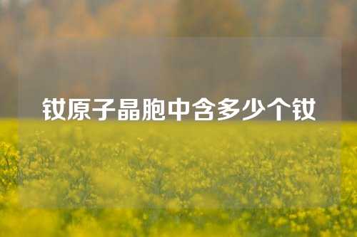 釹原子晶胞中含多少個釹