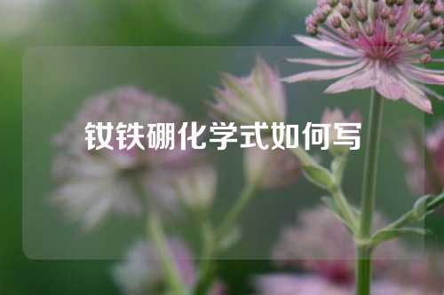 釹鐵硼化學式如何寫