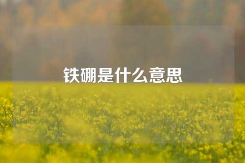 鐵硼是什么意思