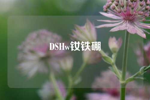 DSHw釹鐵硼