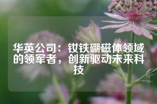 華英公司：釹鐵硼磁體領域的領軍者，創新驅動未來科技