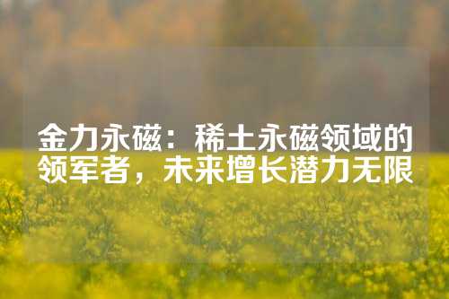 金力永磁：稀土永磁領(lǐng)域的領(lǐng)軍者，未來(lái)增長(zhǎng)潛力無(wú)限