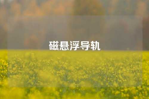 磁懸浮導(dǎo)軌