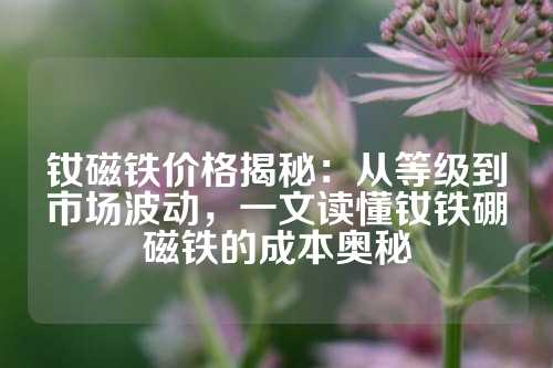 釹磁鐵價格揭秘：從等級到市場波動，一文讀懂釹鐵硼磁鐵的成本奧秘