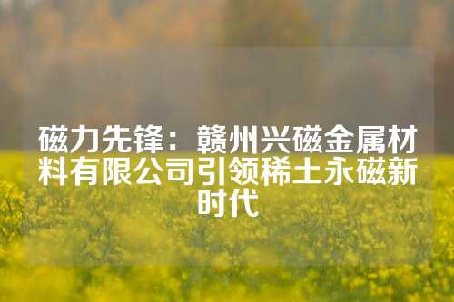 磁力先鋒：贛州興磁金屬材料有限公司引領稀土永磁新時代